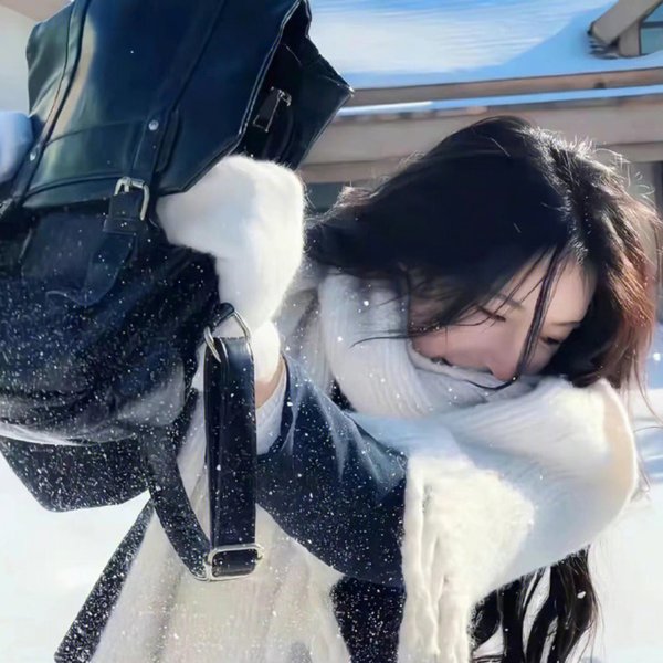被争论的女人 海报